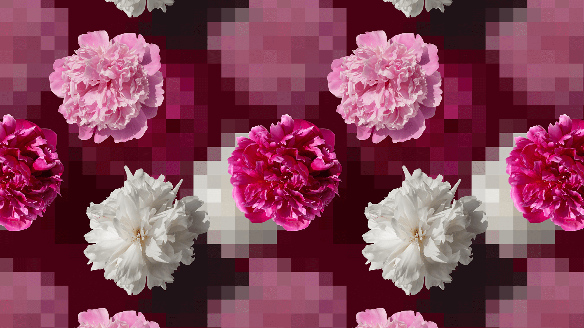 What Are Bitmap Images? A Designer’s Guide to Image File Formats