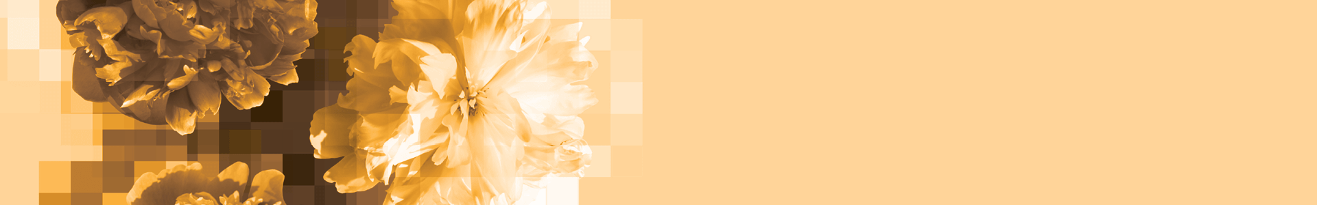 Color spaces Color spaces