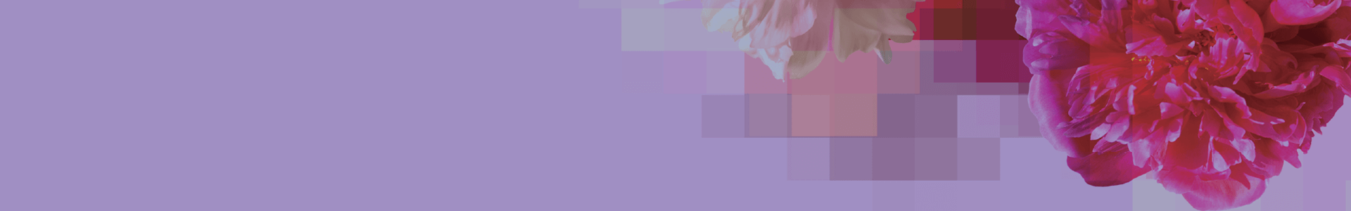 Bitmap imagery Bitmap imagery