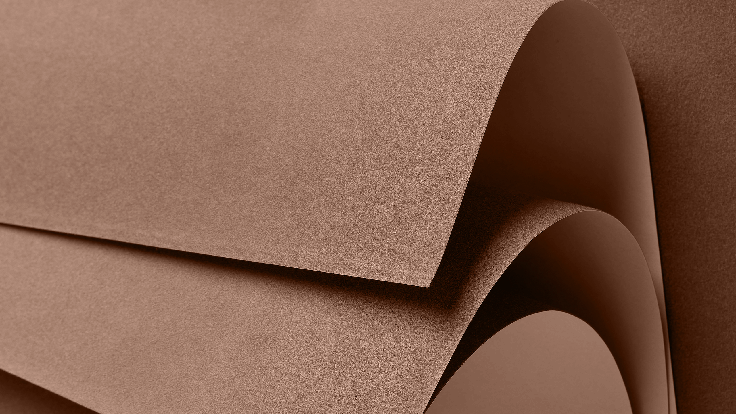 LEARN: A Look at Pantone’s 2025 Color of the Year