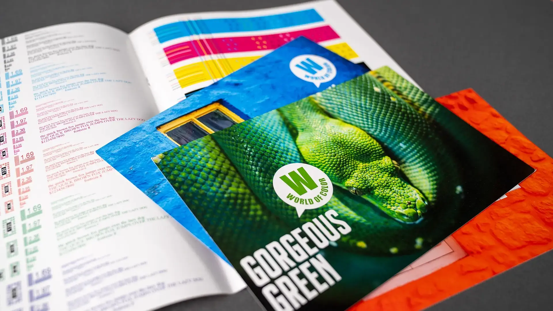 Project Spotlight: Exploring the Wide World of Color image
