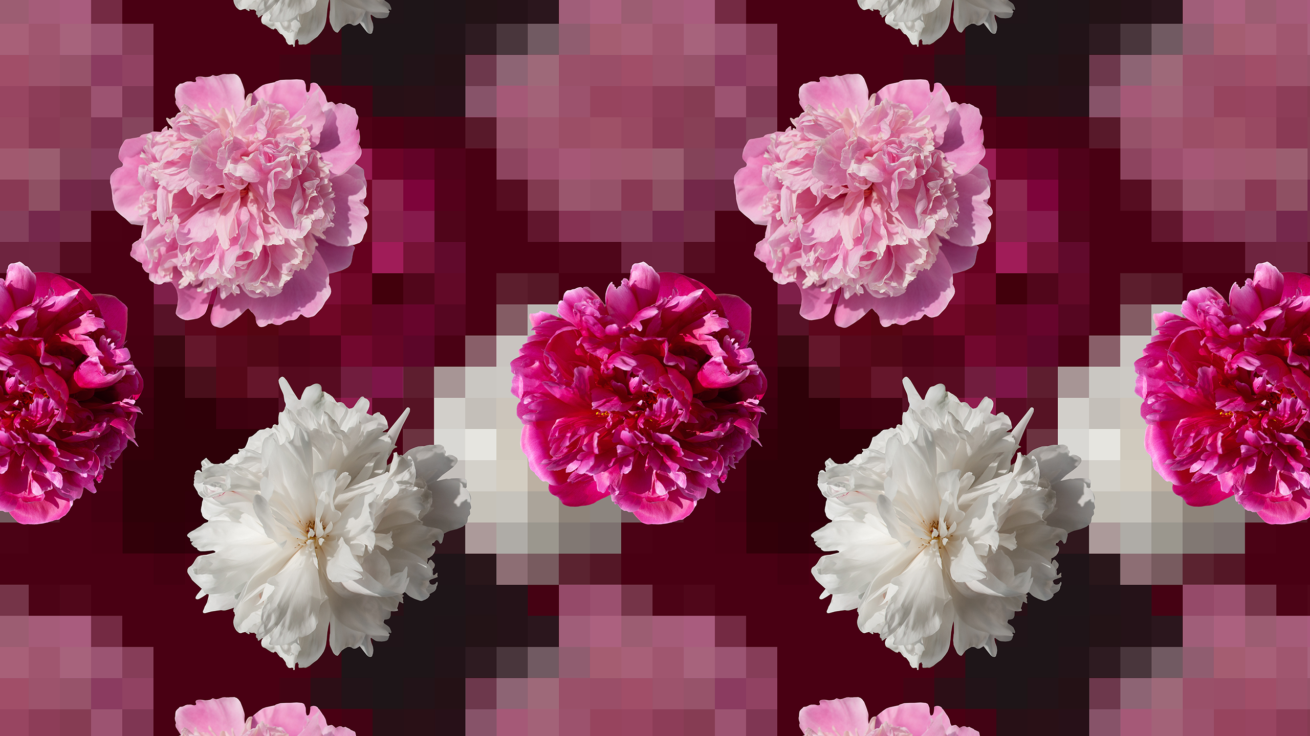 LEARN: What Are Bitmap Images? A Designer’s Guide to Image File Formats image